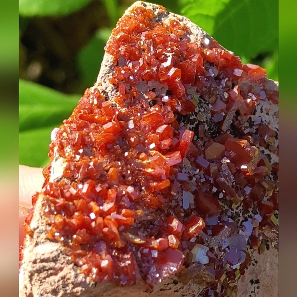 Vibrant Vanadinite Specimen - Picture 14 of 16